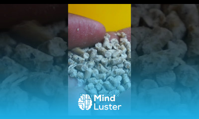 Types of Chicken Feed poultryfarming broilerchickenfarming poultryfeeds agribusiness