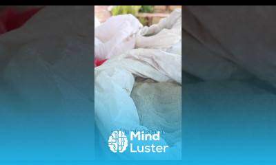 Feeding Requirements for Broilers broilerchickenfarming poultryfarming chickenfarming