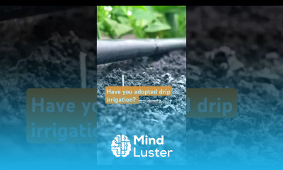 Adopt drip irrigation to significantly enhance profitability on your farm dripirrigationsystem