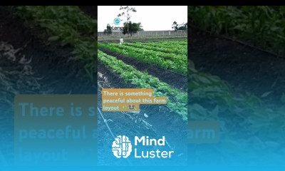 A thoughtfully designed farm layout creates a sense of harmony farming farminglife agribusiness