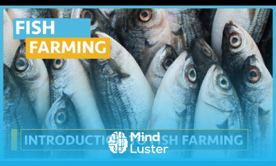 Fish Farming Course Lesson 2 Introduction