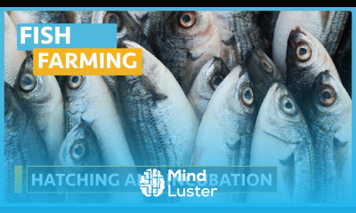 Fish Farming Course Lesson 3 Hatching Incubation