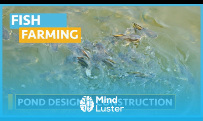 Fish Farming Course Lesson 6 Pond Design Construction