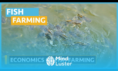 Fish Farming Course Lesson 7 Economics of Production