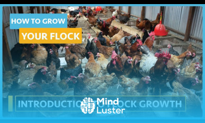 How to Grow your Flock Lesson 1 Introduction