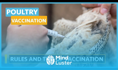 Poultry Vaccination and Common Diseases Lesson 2 Modes of vaccination