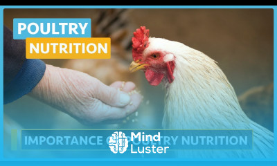 Poultry Nutrition Lesson 2 Importance of Poultry Nutrition