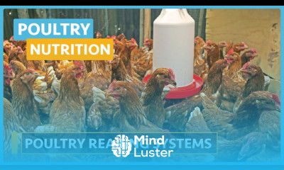 Poultry Nutrition Lesson 3 Systems of Poultry Farming