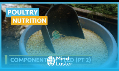 Poultry Nutrition Lesson 9 Nutritional Components of A Compound Feed Part 2