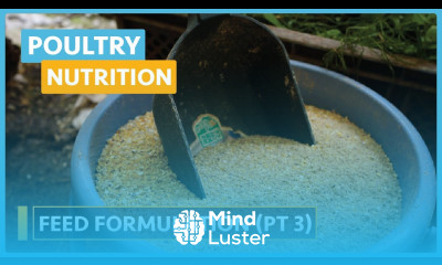 Poultry Nutrition Lesson 12 Formulation of a Compound Feed part 3