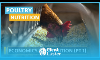 Poultry Nutrition Lesson 14 Economics And Nutrition Part 1