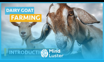 Dairy Goat Farming Lesson 2 Introduction