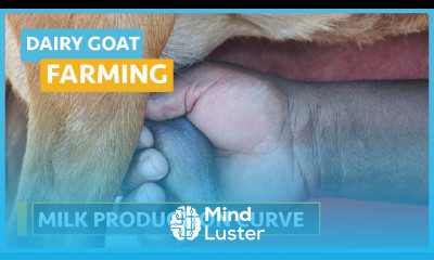 Dairy Goat Farming Lesson 13 Meat Production Curve