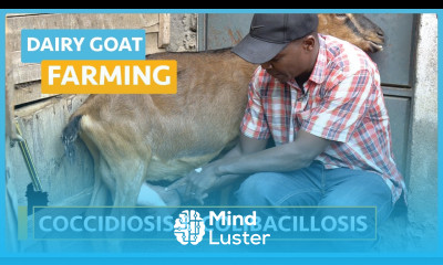 Dairy Goat Farming Lesson 22 Coccidiosis and Colibacillosis