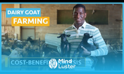 Dairy Goat Farming Lesson 28 Cash Flow Budgets