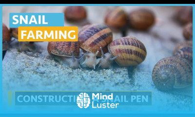 Snail Farming Lesson 3 Construction of a Concrete Snail Pen