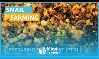 Snail Farming Lesson 20 Preparing Snail Meat Part 2