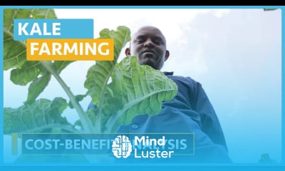 Kale Farming Lesson 16 Economics of Production