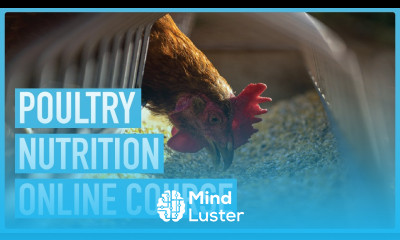 Mastering Poultry Nutrition for Optimal Production Introduction Course Outline