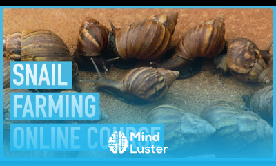 Unleashing the Secrets of Lucrative Snail Farming Techniques Introduction Course Outline