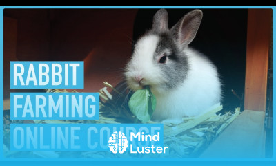 The Complete Guide to Raising Rabbits for Meat and Profit Introduction Course Outline