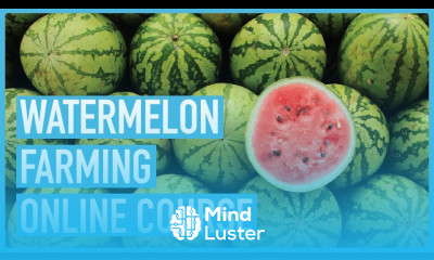 Watermelon Farming 101 The Essentials You Need to Know Course Outline