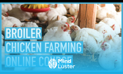 Secrets to Successful Broilers Farming Course Introduction and Outline