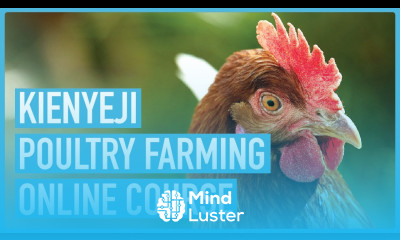 eLengo Kienyeji Poultry Farm Training