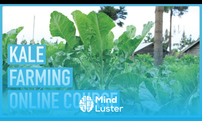 Kale Farming Fundamentals How to Grow Nutritious Greens Introduction and Course Outline
