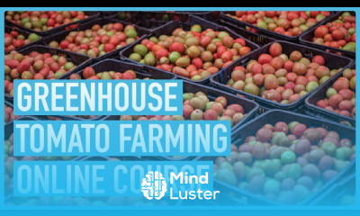 Greenhouse Tomato Course Introduction