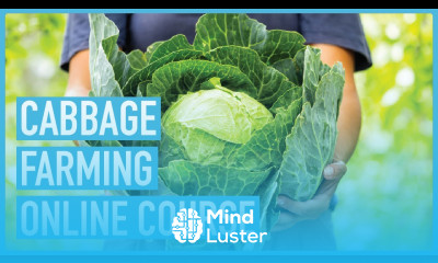 Cabbage Farming Course Introduction