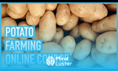 A Step by Step Course on Profitable Potato Farming Course Introduction Outline