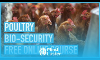 Stop Your Chickens From Dying FREE Biosecurity Course