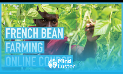 The A Z of French Bean Farming Introduction to the Ultimate Course