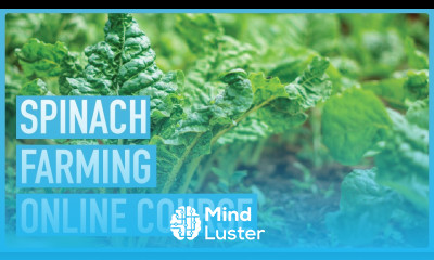 The ultimate course on Spinach Farming Course Introduction