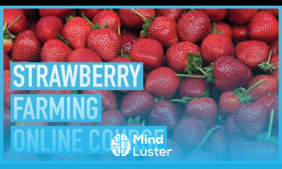 Profitable Strawberry Farming on Maximizing Your Harvest and Income Course Introduction Outline