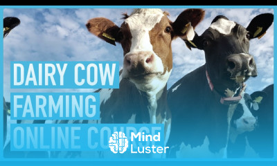 Dairy Farming 101 Master the Basics of Raising Dairy Cows Course outline