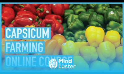 Secrets to Successful Greenhouse Capsicum Production Course Introduction