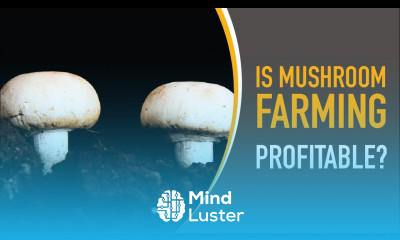 Is Mushroom Farming Profitable