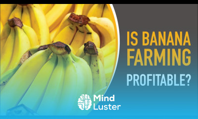 Is Banana Farming Profitable