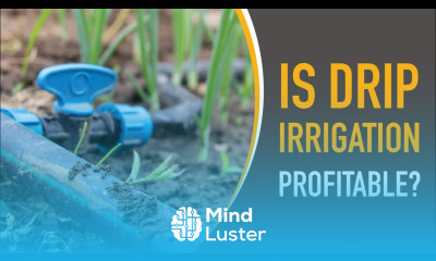 Is Drip Irrigation Profitable