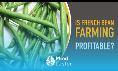 Is French Bean Farming Profitable