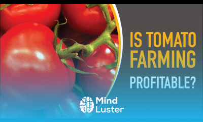 Is Greenhouse Tomato Farming Profitable