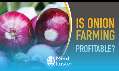 Is Onion Farming Profitable