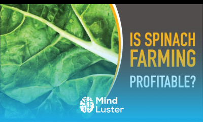 Is Spinach Farming Profitable