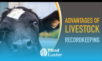 Why Are Some of the Advantages of Keeping Livestock Records