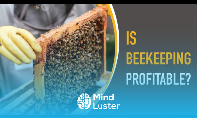 Is Beekeeping Profitable in Kenya