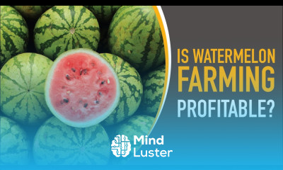 Watermelon Farming Costs Business Plan All You Need To Know farming agribusiness africa