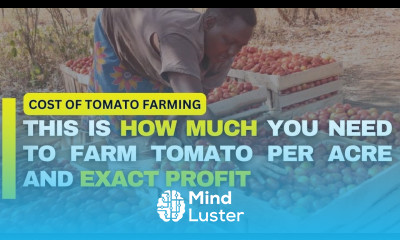 The Cost and Profit of Tomato Farming Per Acre in Kenya 2024