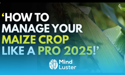 How to Manage Your Maize Crop Like a Pro in 2025 Massive Yields Guaranteed